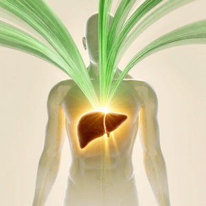 Restores Your Master Antioxidant