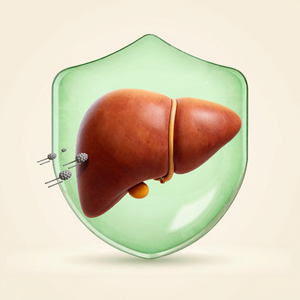 Shields Your Liver Cells